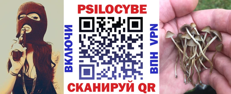 Галлюциногенные грибы Psilocybine cubensis Фёдоровский