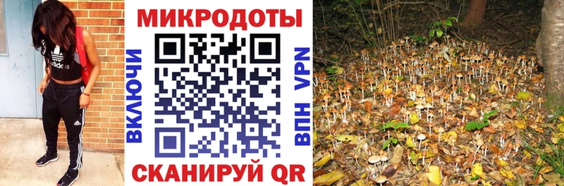 наркошоп  Фёдоровский  Галлюциногенные грибы прущие грибы 
